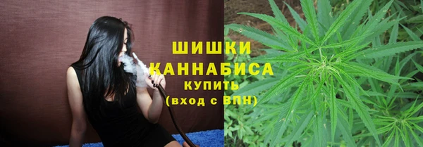 шишки Каменногорск