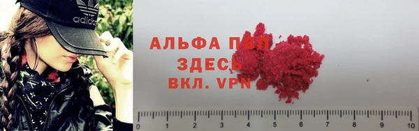 марки lsd Карпинск
