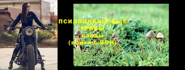 шишки Каменногорск