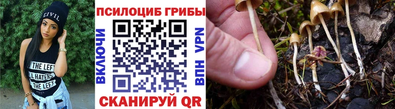 Галлюциногенные грибы MAGIC MUSHROOMS  купить  сайты  Лениногорск 